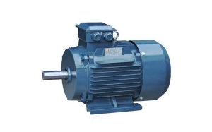 山東三相異步電機工作時發生故障該怎樣處理？